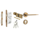 HAFELE ชุดมือจับประตูก้านโยกแม่เหล็ก (รุ่นประตูทางเข้า)